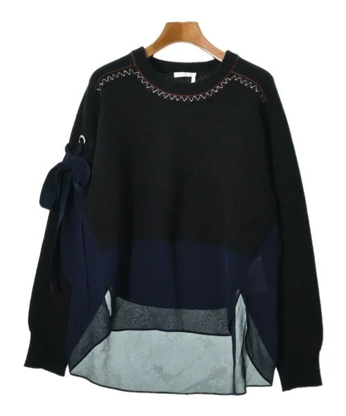 Chloe Sweaters Long Sweater Short Sweater Cropped Sweater